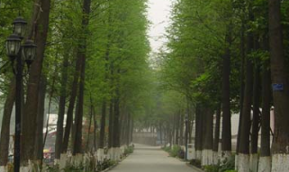 校园景色